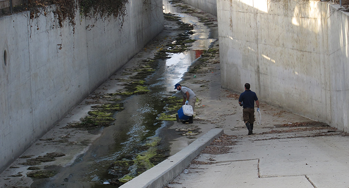Two field researchers stand in a concrete-lined channel to collect samples and place them into a blue cooler.