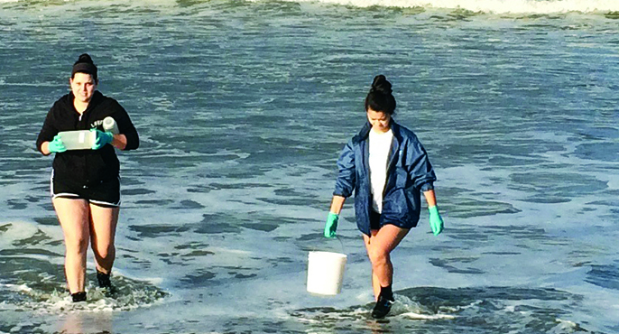 A two-member field crew wades into shallow water at a beach to collects samples using buckets.